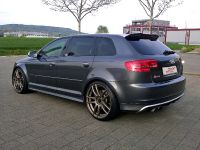 Barracuda Racing Audi RS3 8P (2016)