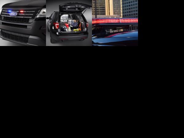 Ford Police Interceptor Utility (2016) - picture 13 of 15