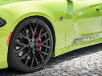 GeigerCards Dodge Charger SRT Hellcat (2016) - picture 8 of 15