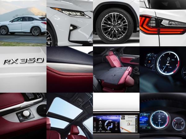 Lexus RX 350 F Sport (2016) - picture 13 of 25