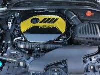 Manhart MINI F300 (2016) - picture 8 of 9