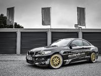 mcchip-dkr BMW 220i MC320 (2016)