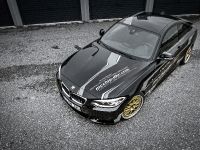 mcchip-dkr BMW 220i MC320 (2016) - picture 5 of 14
