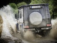 Mercedes-Benz G350 d Professional (2016) - picture 6 of 17