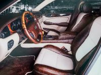 Vilner Jaguar XJ Single Malt (2016) - picture 3 of 11