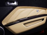 Vilner Shelby Mustang GT500 Super Snake Anniversary Edition (2016) - picture 7 of 17