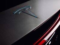 Vilner Tesla Model X P90D (2016) - picture 6 of 24