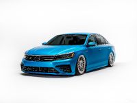 Volkswagen Enthusiast Vehicle Fleet (2016)