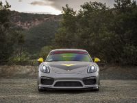 Vorsteiner Porsche GT4 (2016) - picture 2 of 68
