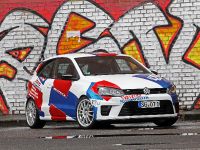 WIMMER RS Volkswagen Polo WRC (2016) - picture 1 of 14