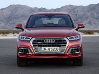 Audi Q5 (2017) - picture 1 of 18