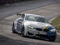Alpha-N Performance BMW M4 (2018)