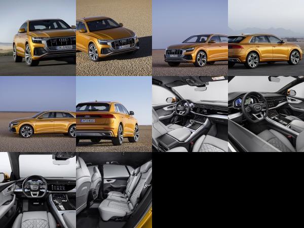 Audi Q8 SUV (2018) - picture 1 of 10
