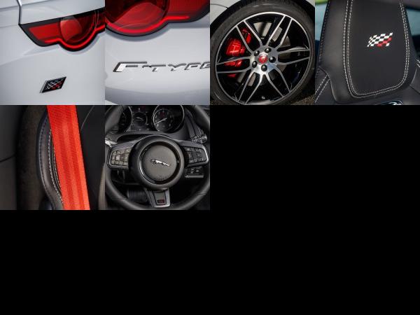 Jaguar F-TYPE Chequered Flag Edition (2018) - picture 13 of 18