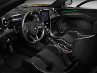 McLaren Senna Carbon Edition (2018)