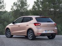 Seat Ibiza TGI (2018) - picture 2 of 12