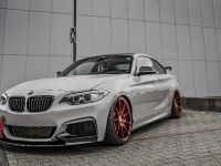 Z-Performance BMW 235i (2018) - picture 3 of 10