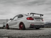 Z-Performance BMW 235i (2018)