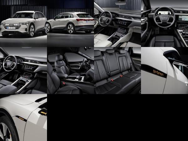 Audi e-tron (2019) - picture 1 of 9