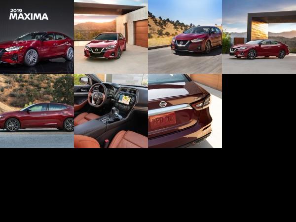 Nissan Maxima (2019) - picture 1 of 7