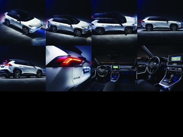 Toyota RAV4 Hybrid (2019) - picture 1 of 8