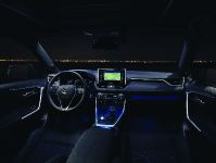 Toyota RAV4 Hybrid (2019)