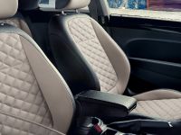 Volkswagen Beetle Final Edition (2019) - picture 6 of 6