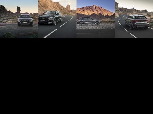 Audi RS Q8 (2020) - picture 1 of 4
