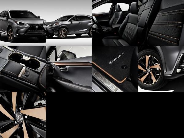 Lexus NX Special Edition (2020) - picture 1 of 9