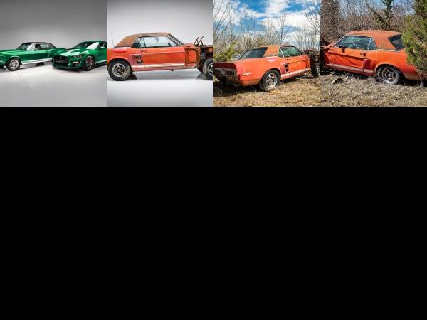 Shelby Mustang Shelby Green Hornet and Little Red (2020) - picture 1 of 4