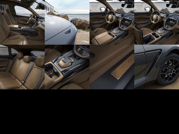 Aston Martin DBX (2021) - picture 13 of 20