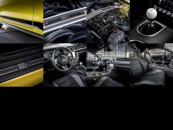 Ford Mustang Mach 1 (2021) - picture 25 of 32