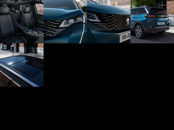 Peugeot 5008 SUV (2021) - picture 13 of 17