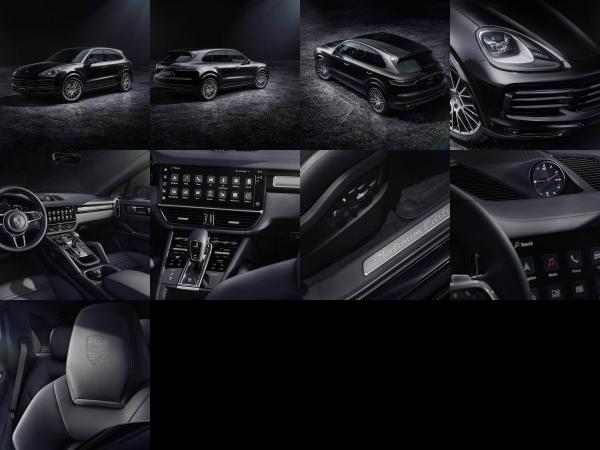 Porsche Cayenne Platinum Edition (2022) - picture 1 of 9