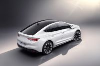 Skoda Enyaq Coupe iV (2022) - picture 6 of 22