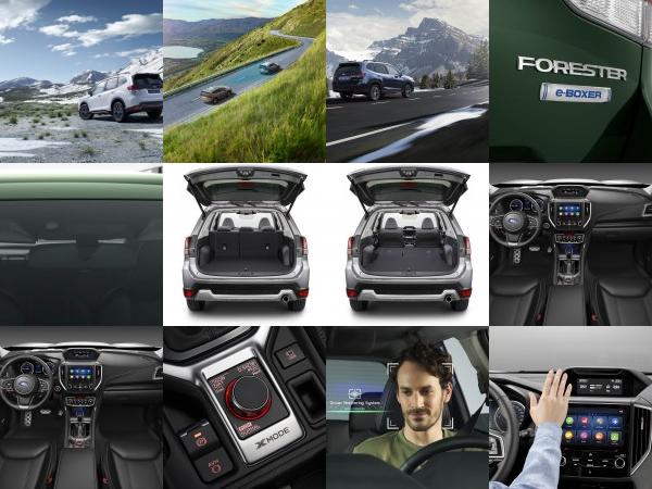 Subaru Forester e-BOXER (2022) - picture 13 of 25