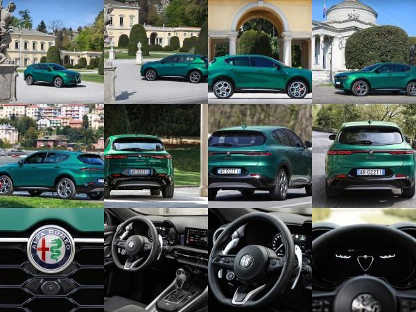 Alfa Romeo Tonale Hybrid (2023) - picture 25 of 44