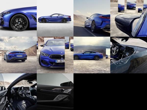 BMW 8-Series Coupe (2023) - picture 13 of 22