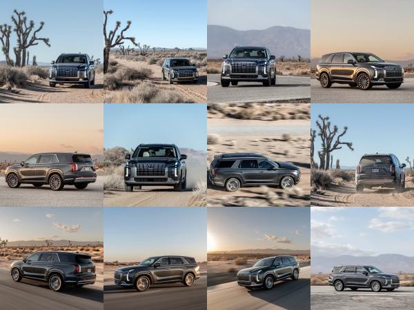 Hyundai Palisade (2023) - picture 13 of 68