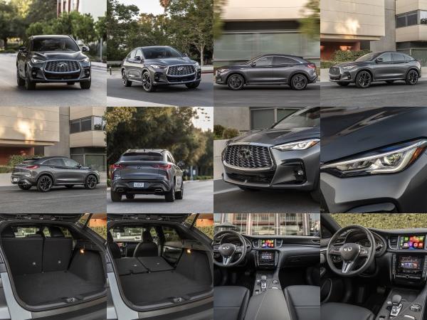 Infiniti QX55 (2023) - picture 1 of 18