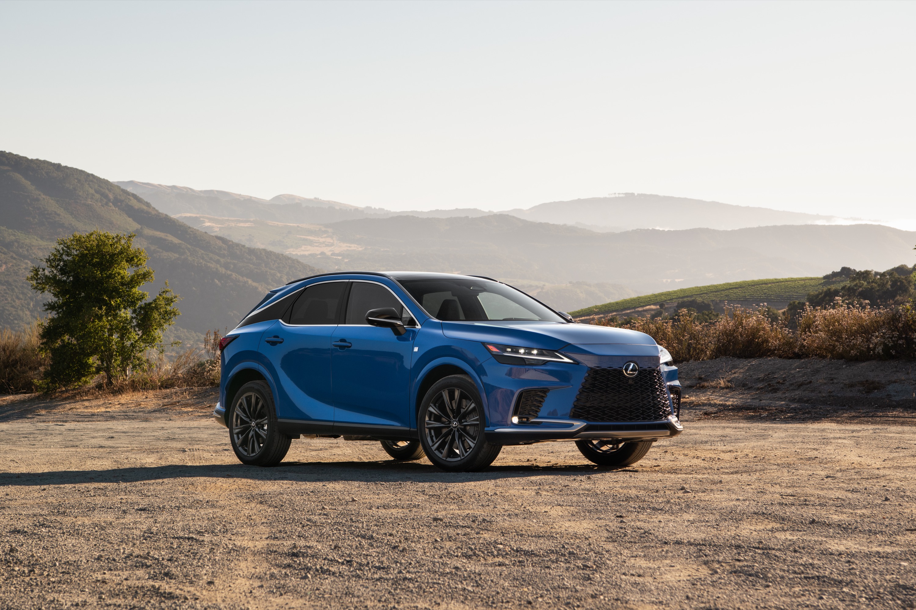 Lexus Lexus RX