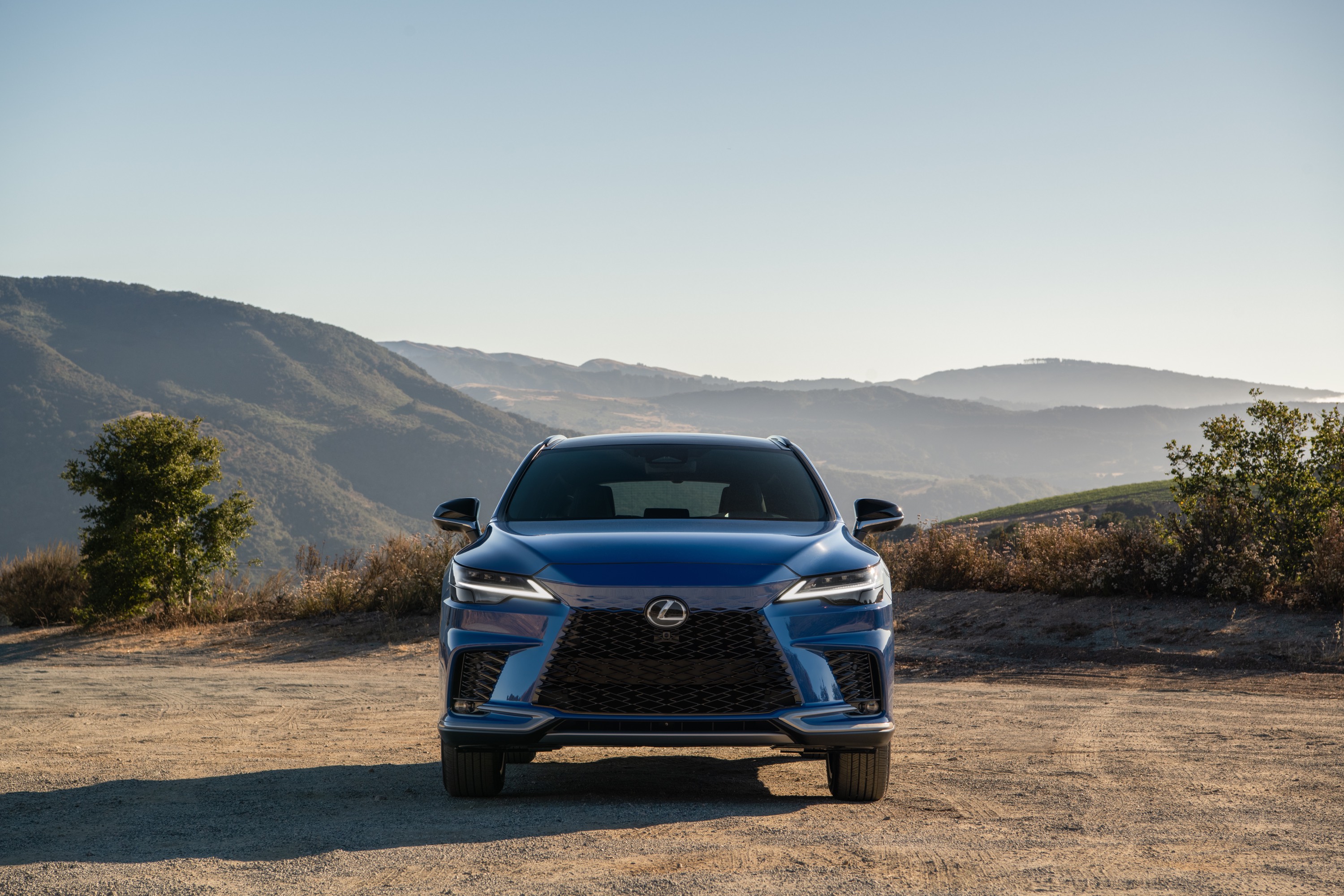 Lexus Lexus RX