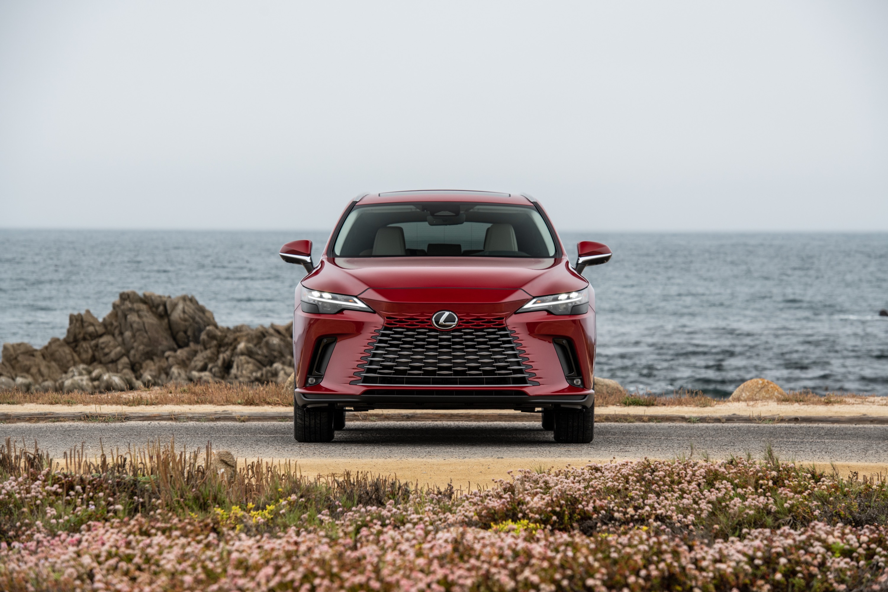 Lexus Lexus RX