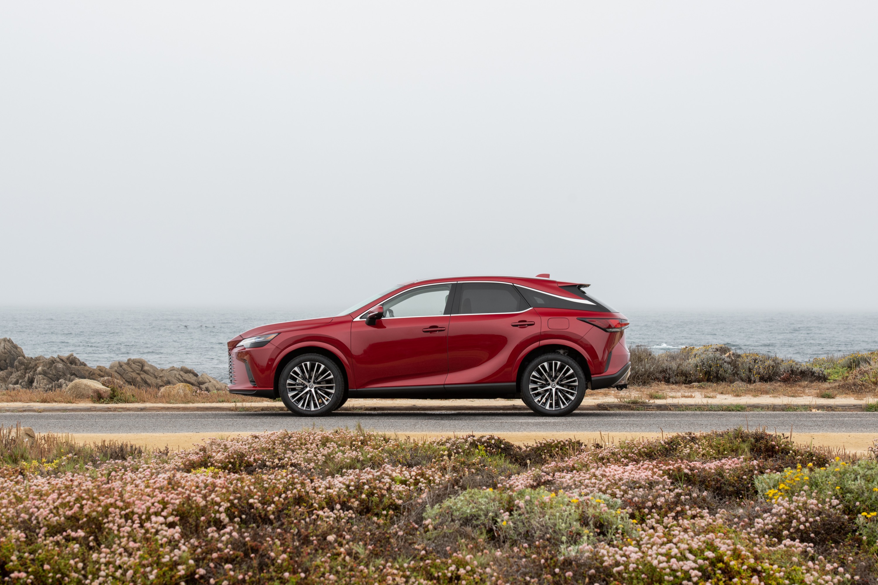 Lexus Lexus RX