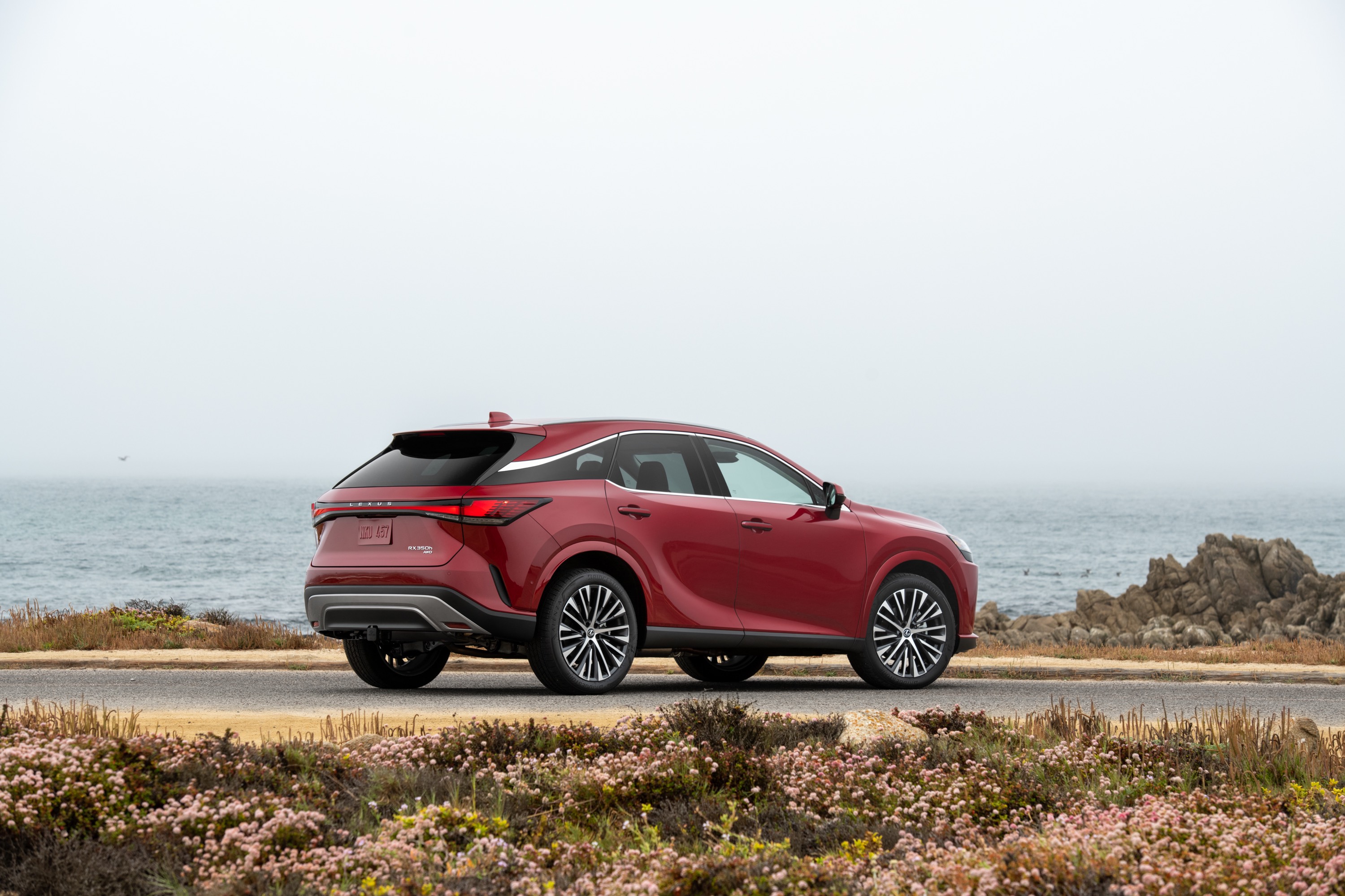 Lexus Lexus RX