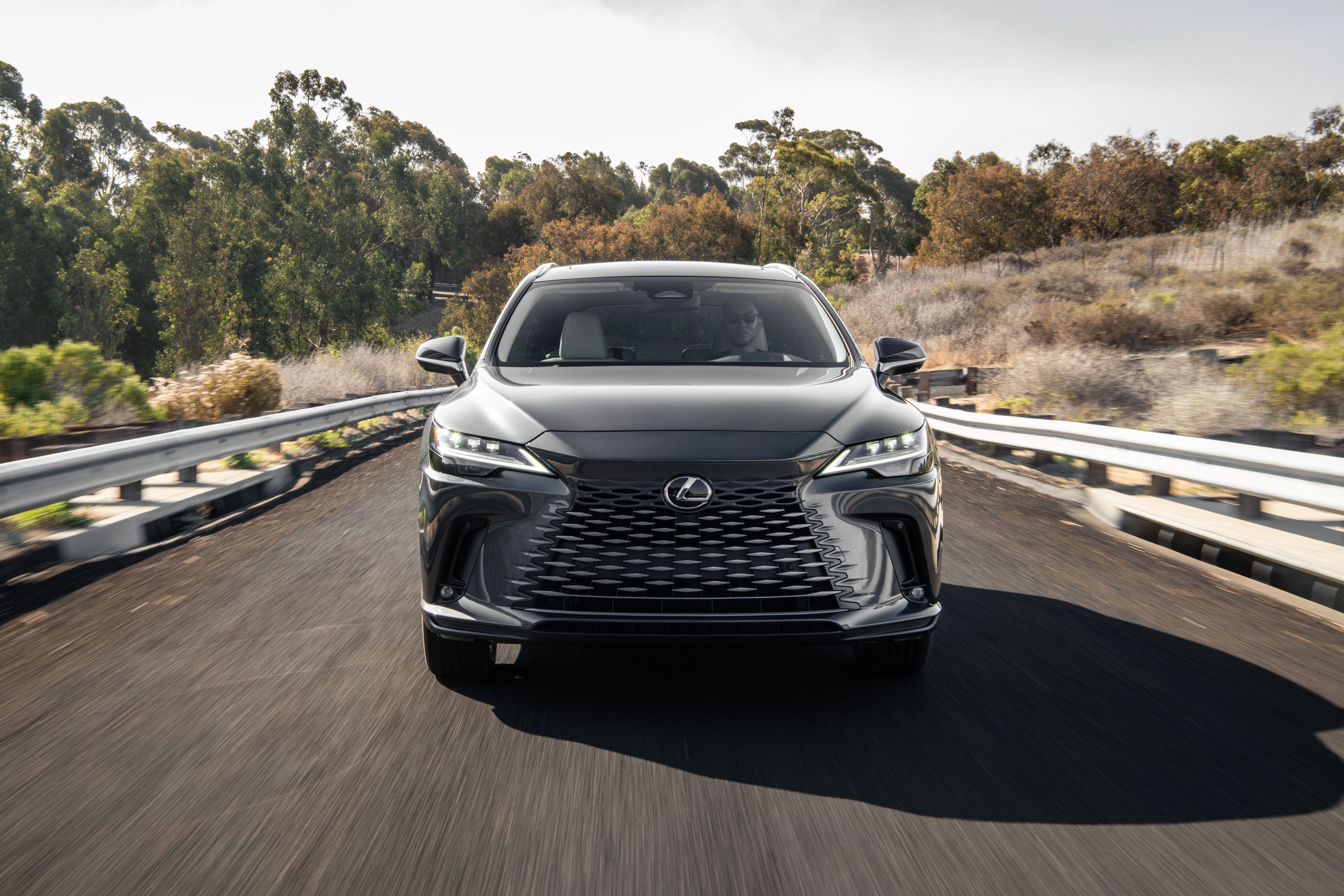 Lexus Lexus RX