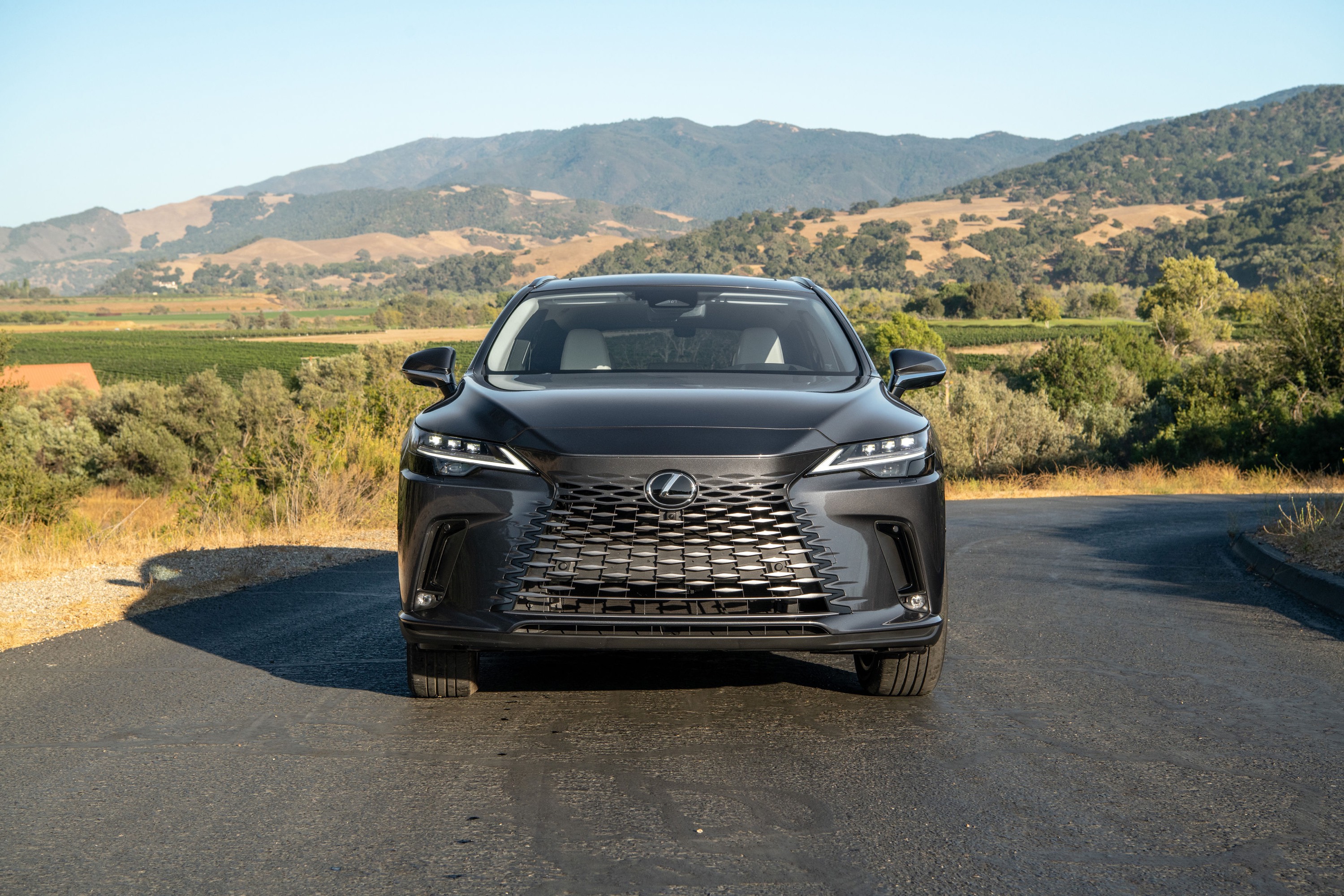 Lexus Lexus RX