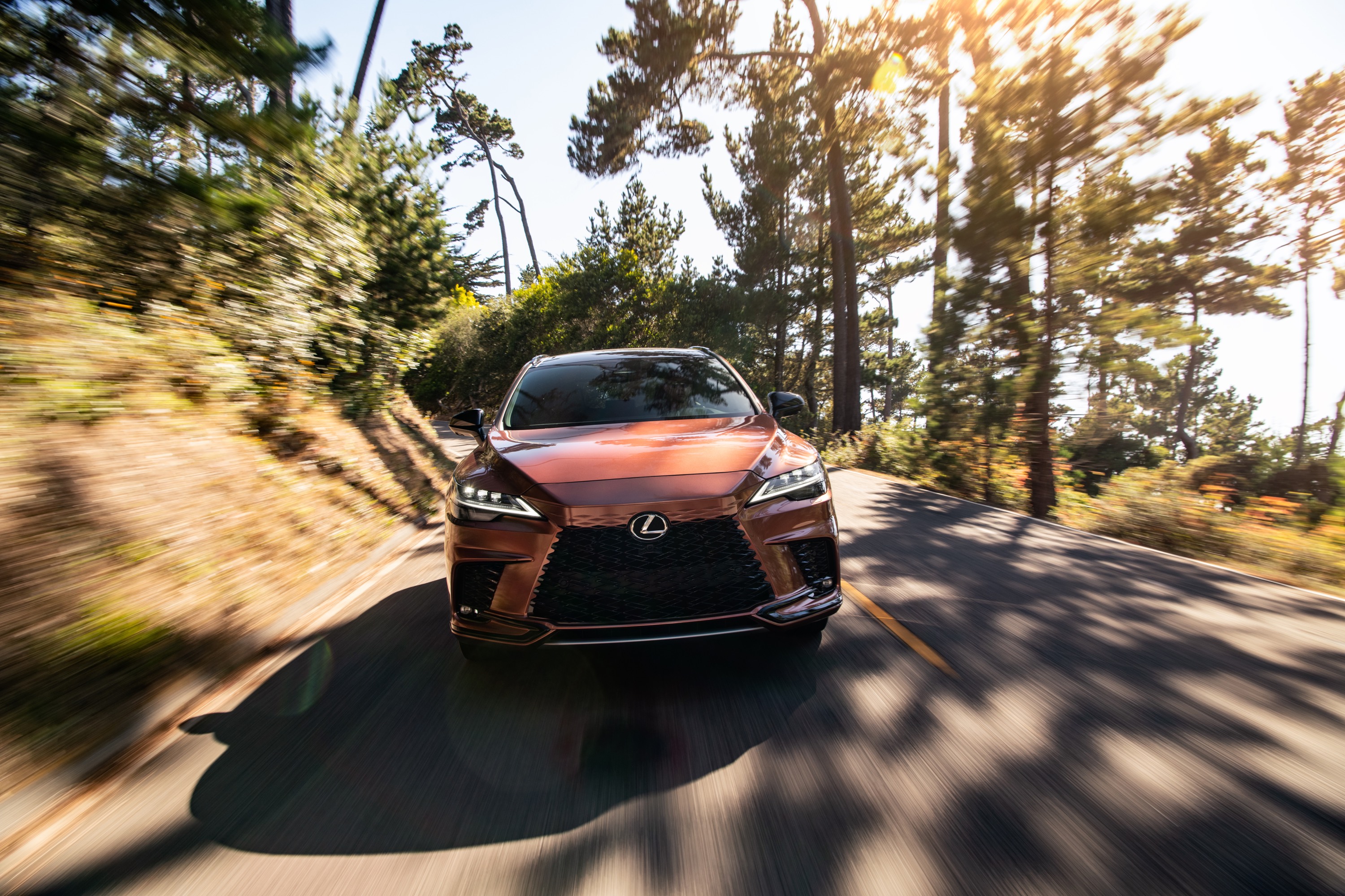 Lexus Lexus RX