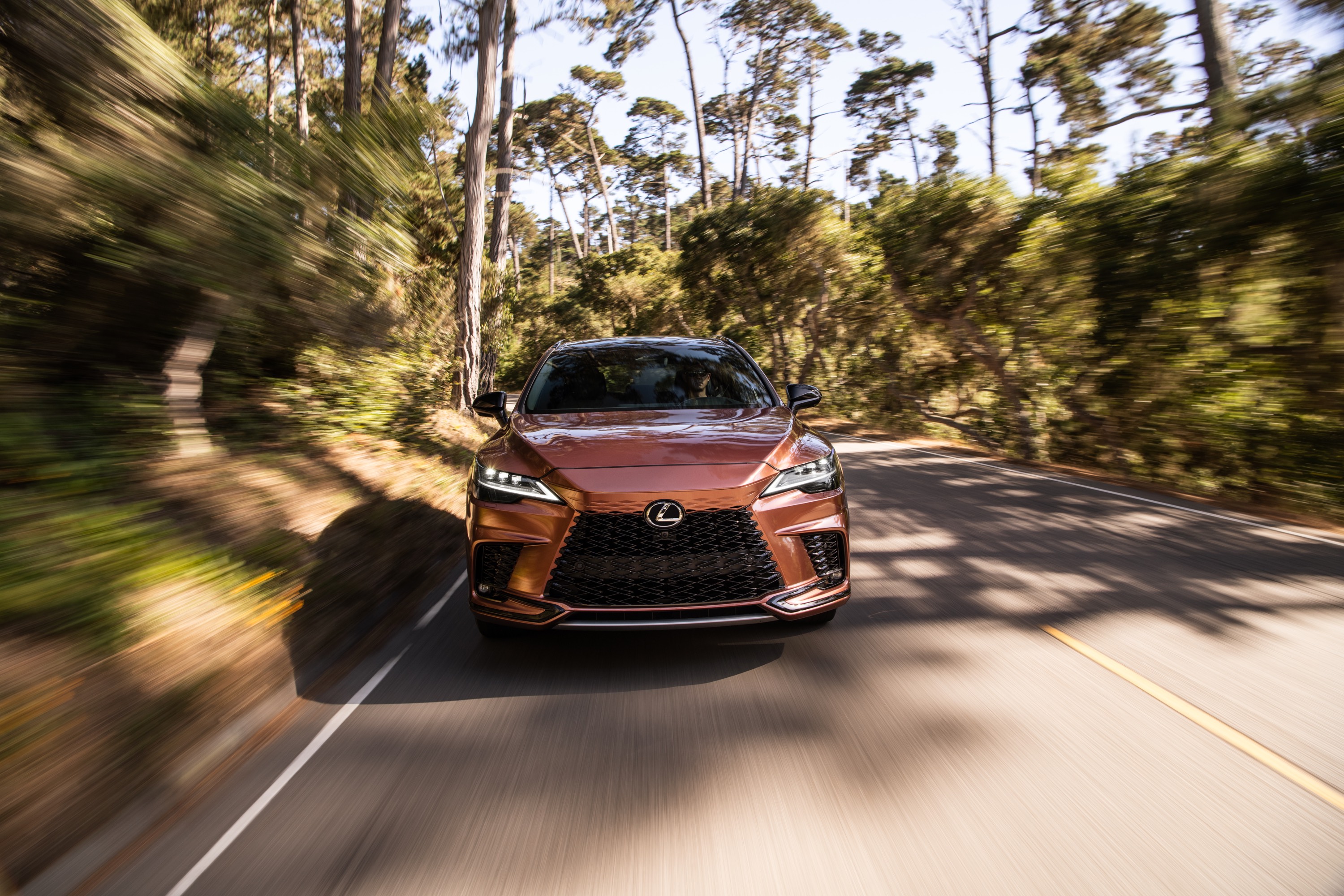 Lexus Lexus RX