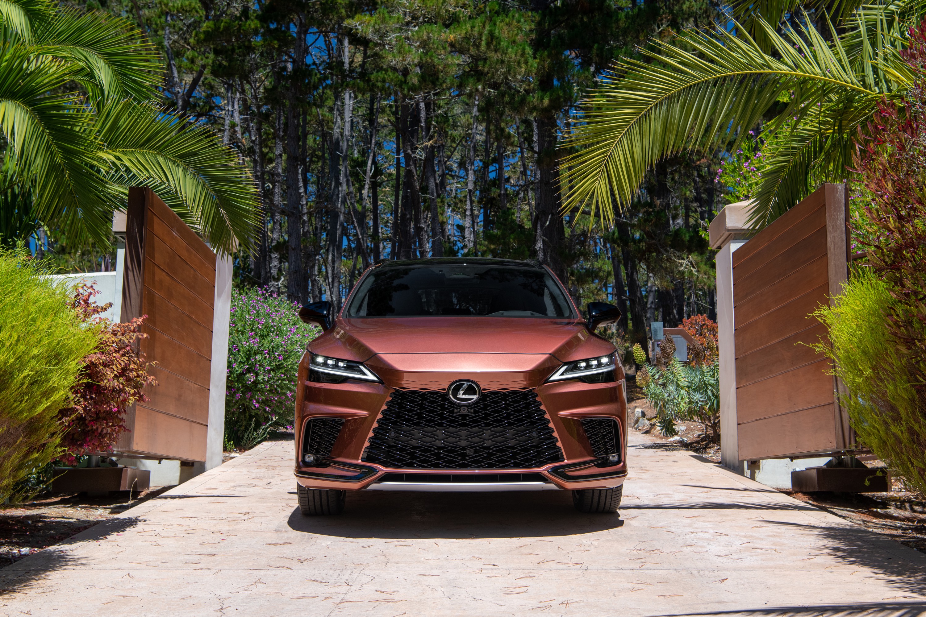 Lexus Lexus RX